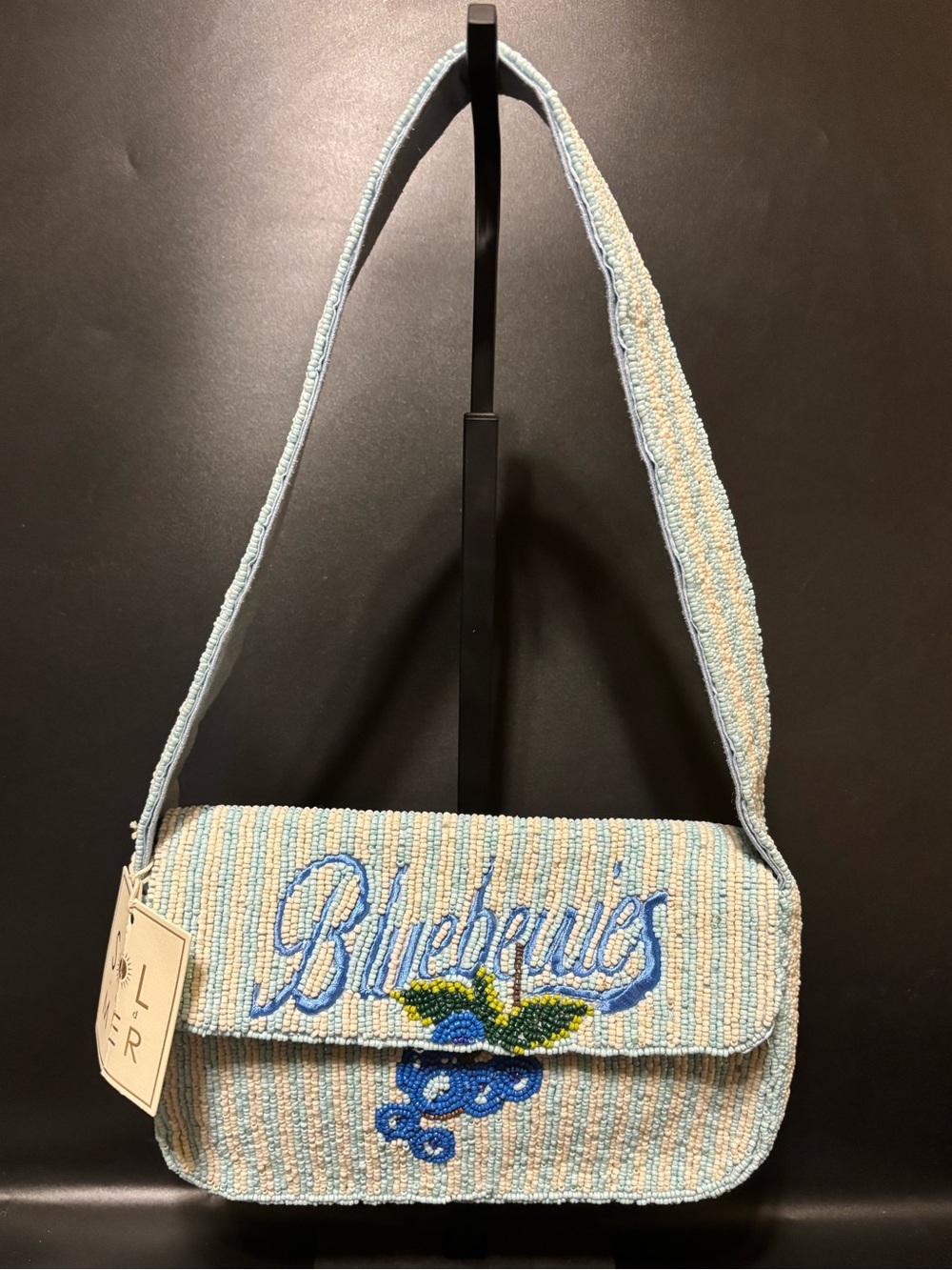 Sol & Mer Blueberries Beaded Shoulder Bag
Striped Viral TikTok NWT